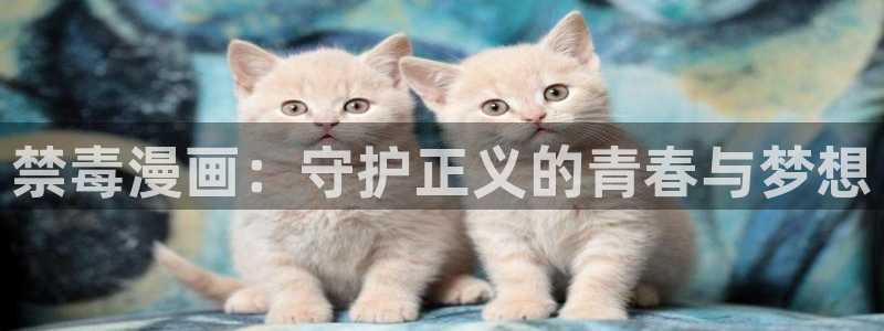 免费51漫画浏览网址