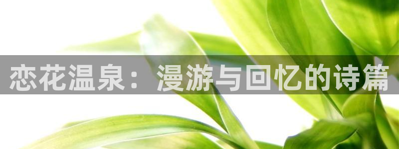 看51漫画画用什么软件最好免费版