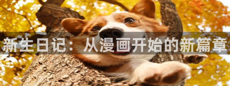 美丽新世界51漫画在线观看免费版
