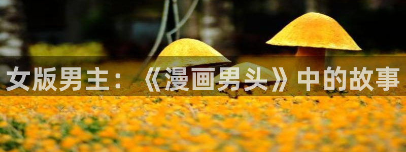 51漫画画免费版下拉式阅读