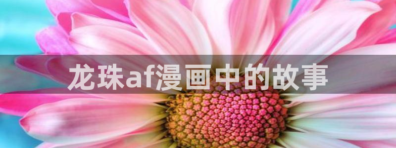 51漫画在线观看免费网址