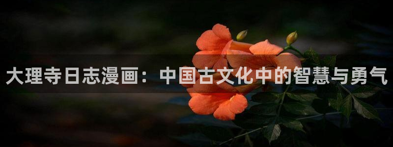 51漫画免费漫画在线网站