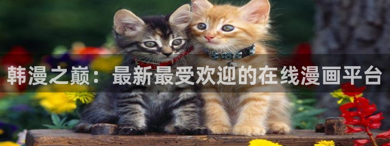 《左手51漫画画》：韩漫之巅：最新最受欢迎的在线漫画平台