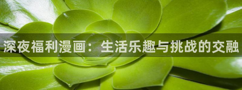 51漫画免费无删减看：深夜福利漫画：生活乐趣与挑战的交融
