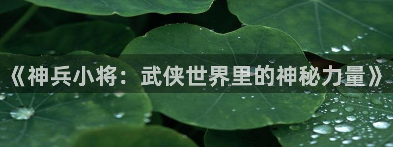 51漫画漫画网在线免费阅读：《神兵小将：武侠世界里的神秘力量》