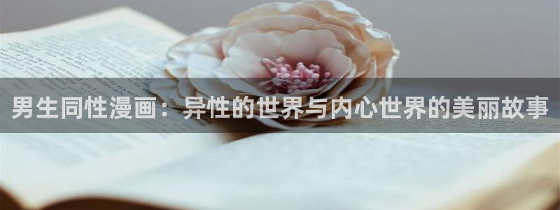 51漫画漫漫画：男生同性漫画：异性的世界与内心世界的美丽故事