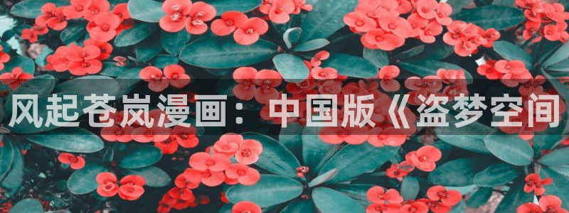 看51漫画的地址：风起苍岚漫画：中国版《盗梦空间