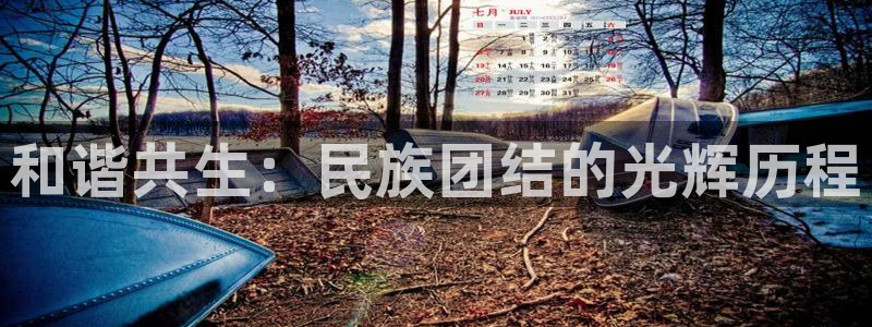 1851漫画免费观看：和谐共生：民族团结的光辉历程